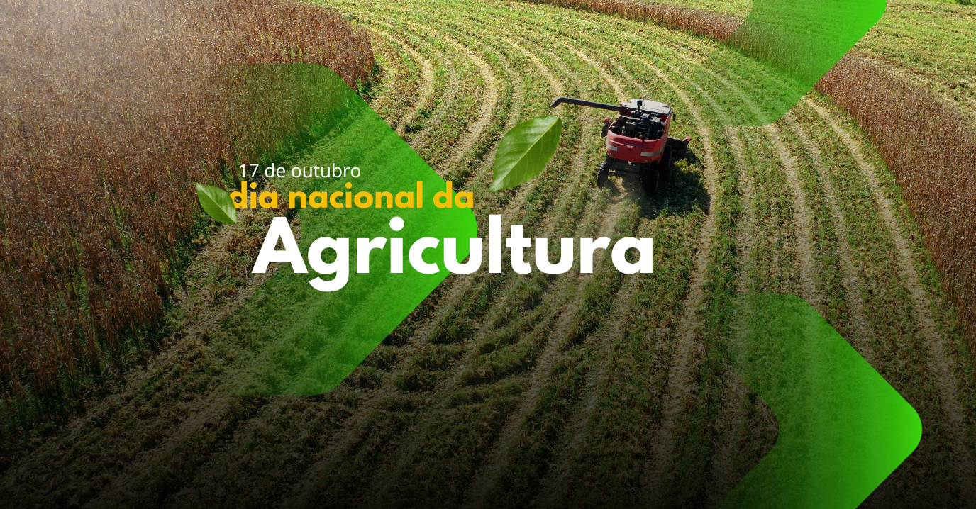 Foto da Notícia